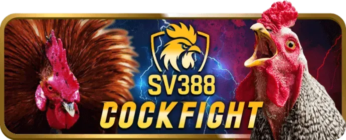 Đội ngũ Hỗ trợ Khách hàng 24/7